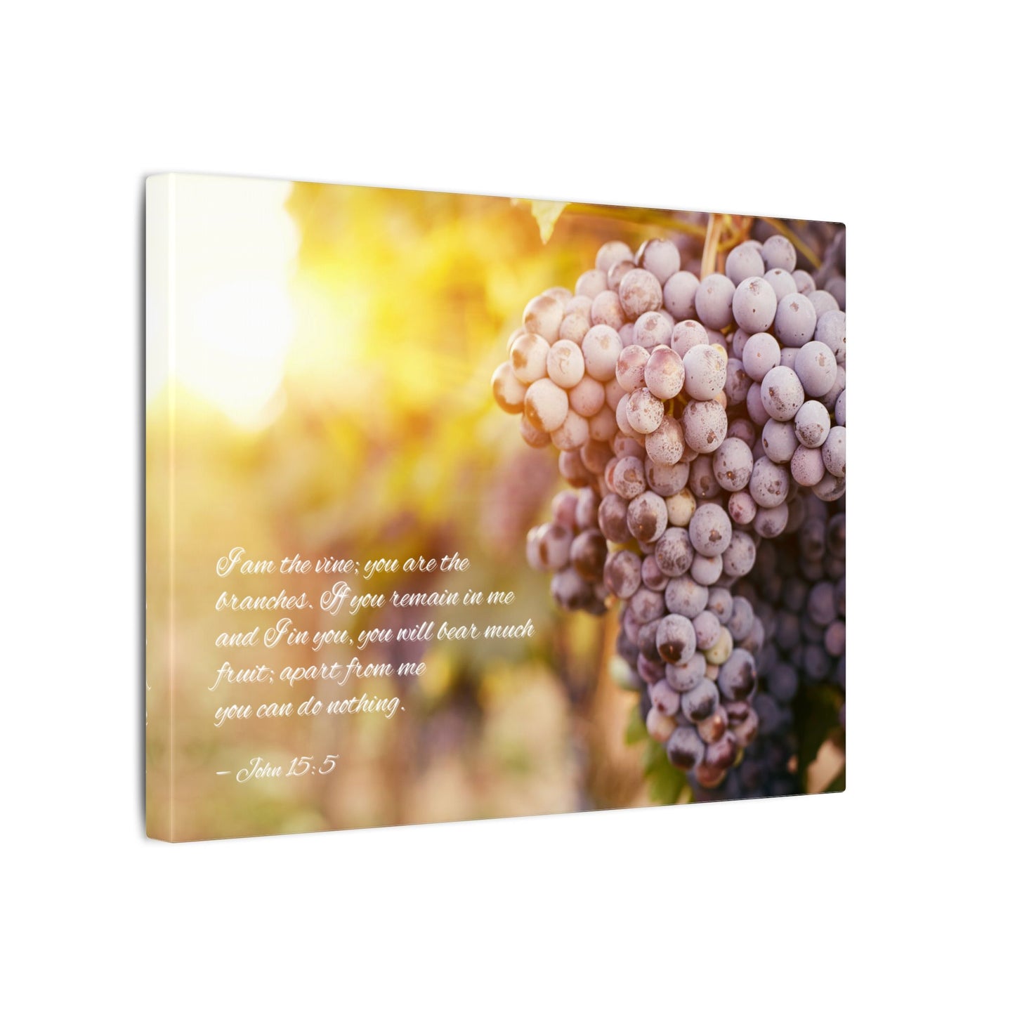 帆布畫 - Vine and Branches - John 15:5