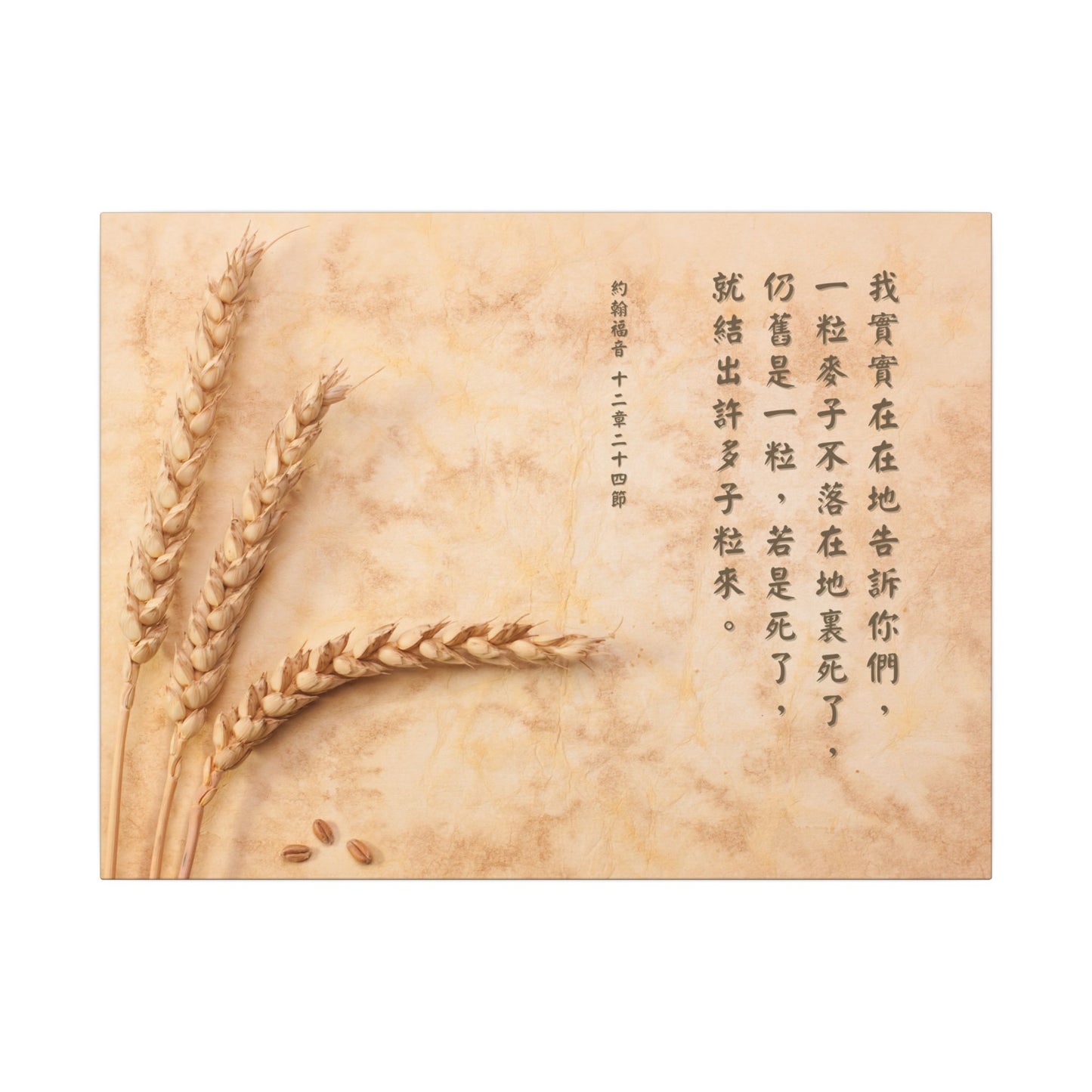 帆布畫 - 一粒麥子