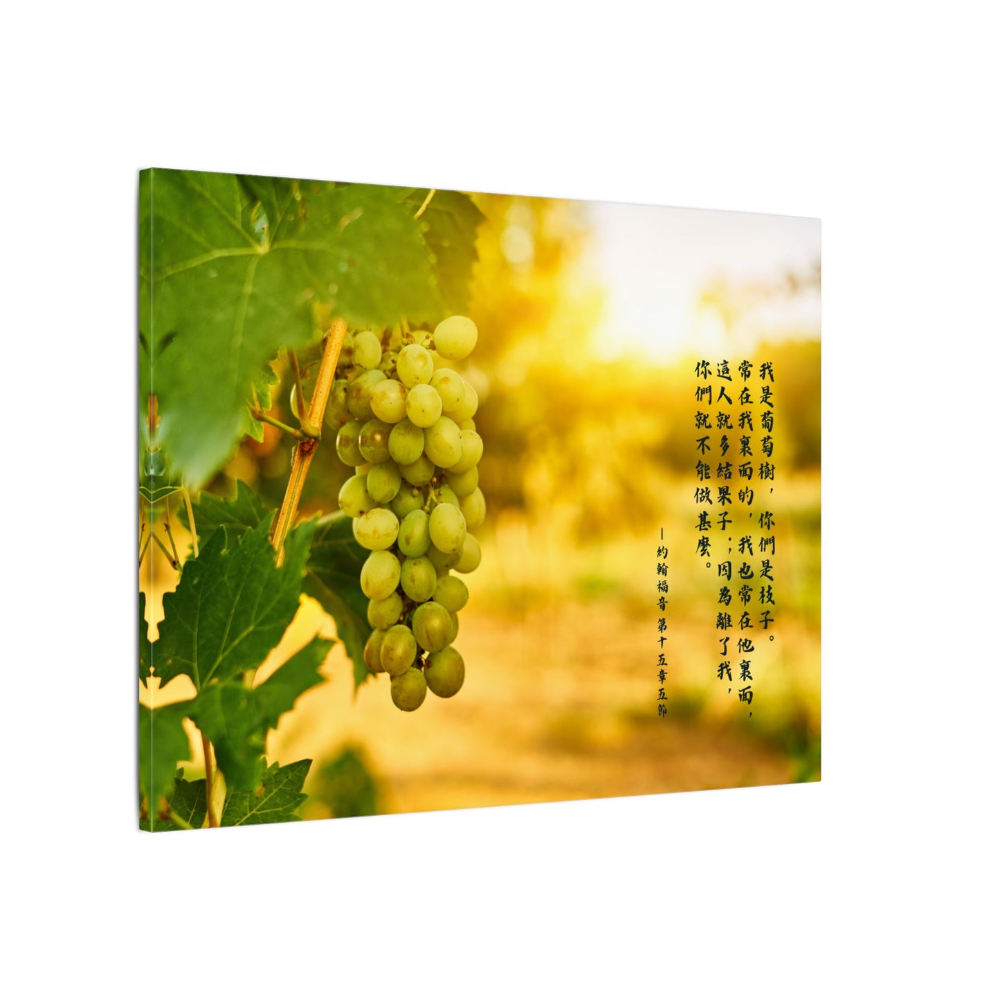 帆布畫 - 葡萄樹和枝子