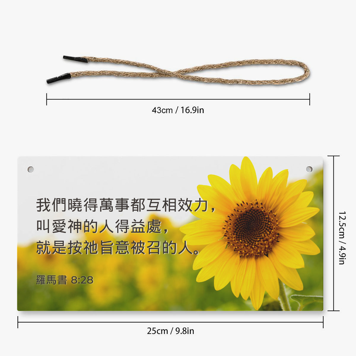 https://jetprint-hkoss.oss-accelerate.aliyuncs.com/merchantUpload/67385/3ccd800be0a9448fa92225a5e510e8dc.jpg