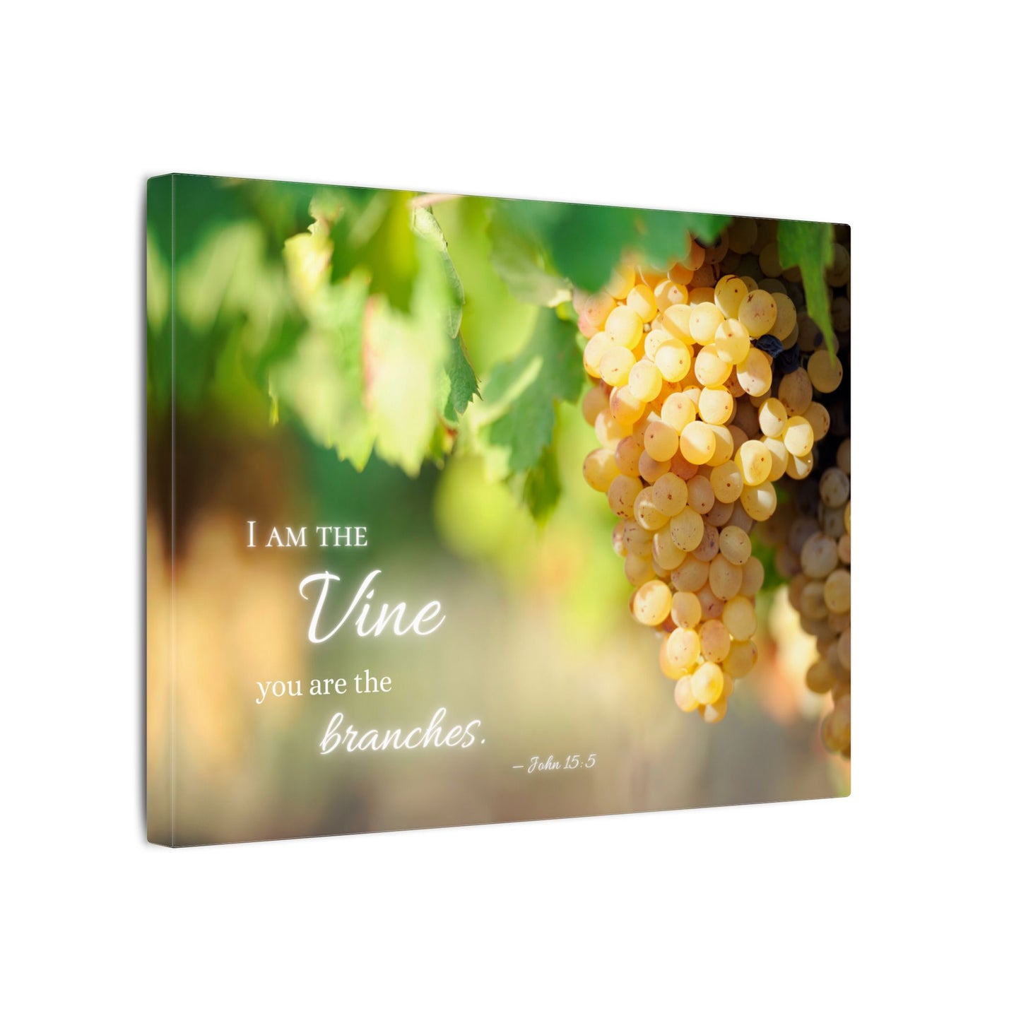 帆布畫 - Vine and Branches