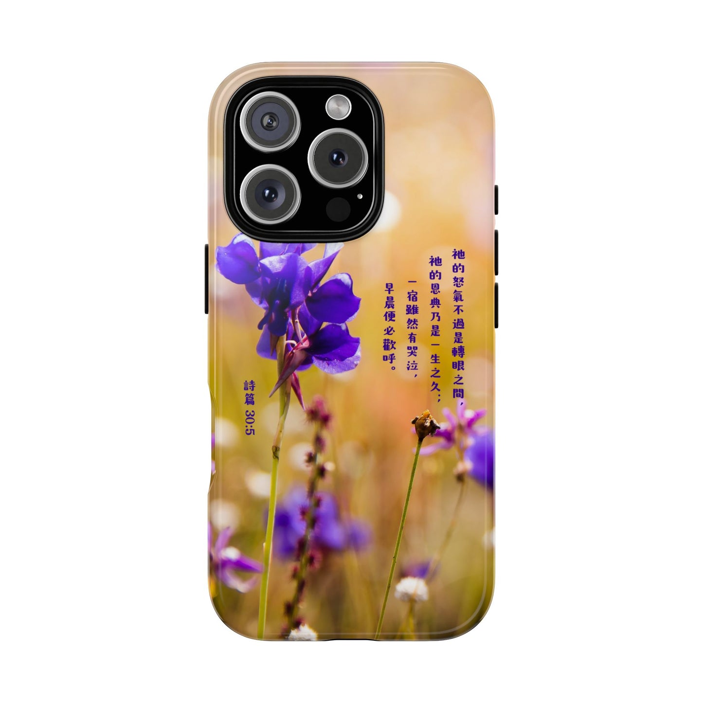 手機殼 - 詩篇30:5