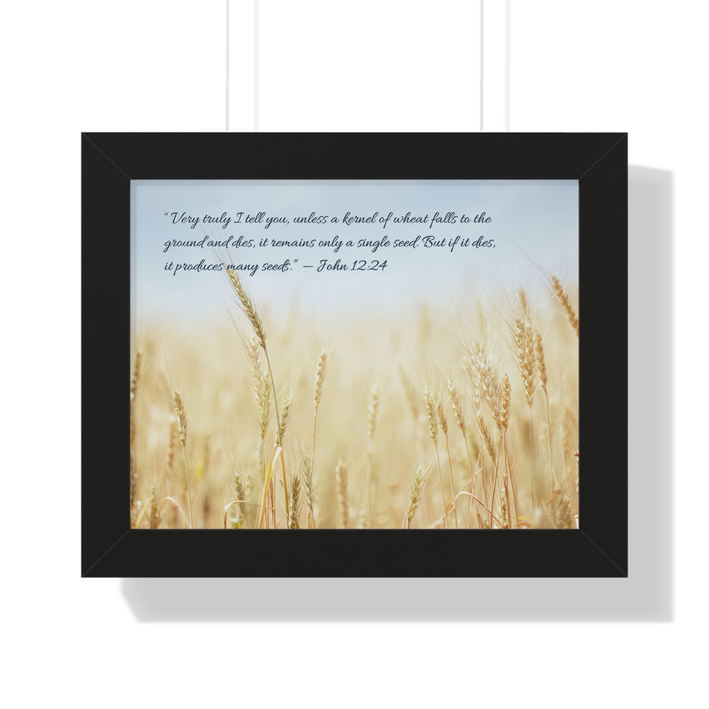 經文框架畫 - 麥子 John 12:24