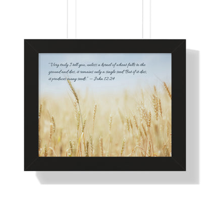 經文框架畫 - 麥子 John 12:24