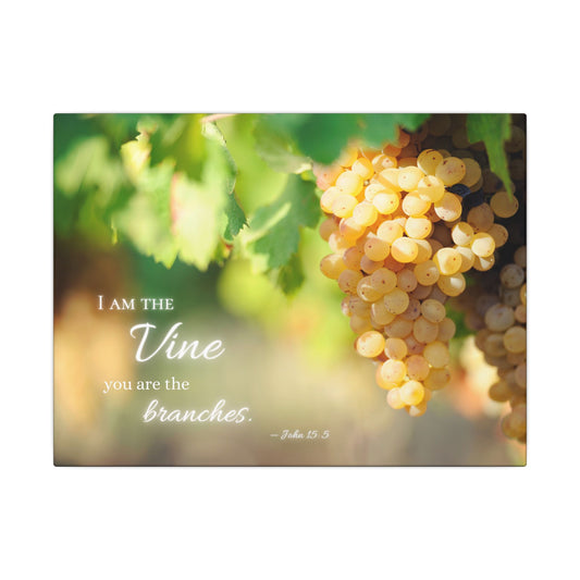 帆布畫 - Vine and Branches