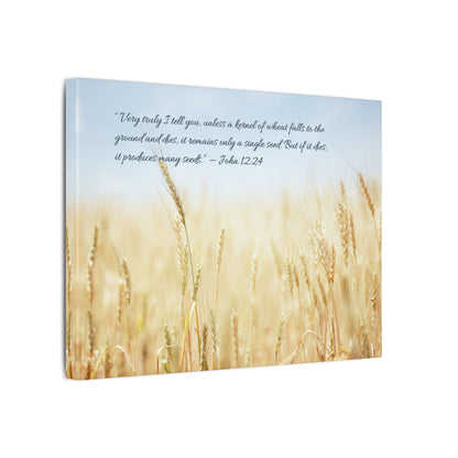 Canvas - John 12:24
