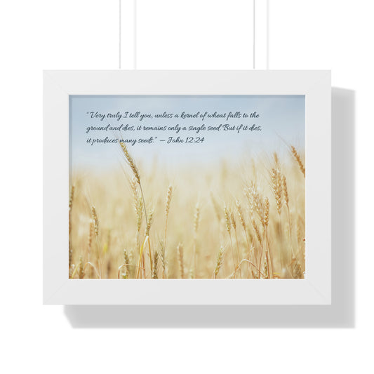 經文框架畫 - 麥子 John 12:24