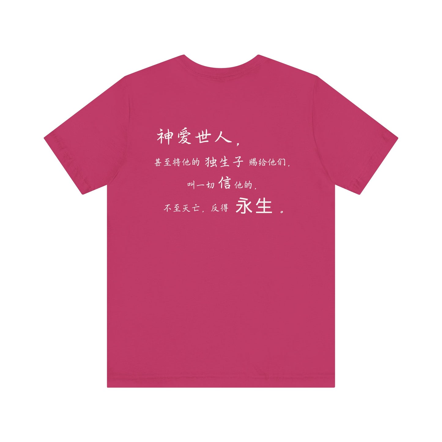 T恤 - 约翰福音3:16（背面印字）