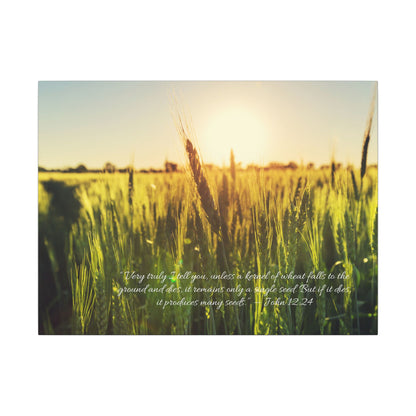 Canvas - Wheat