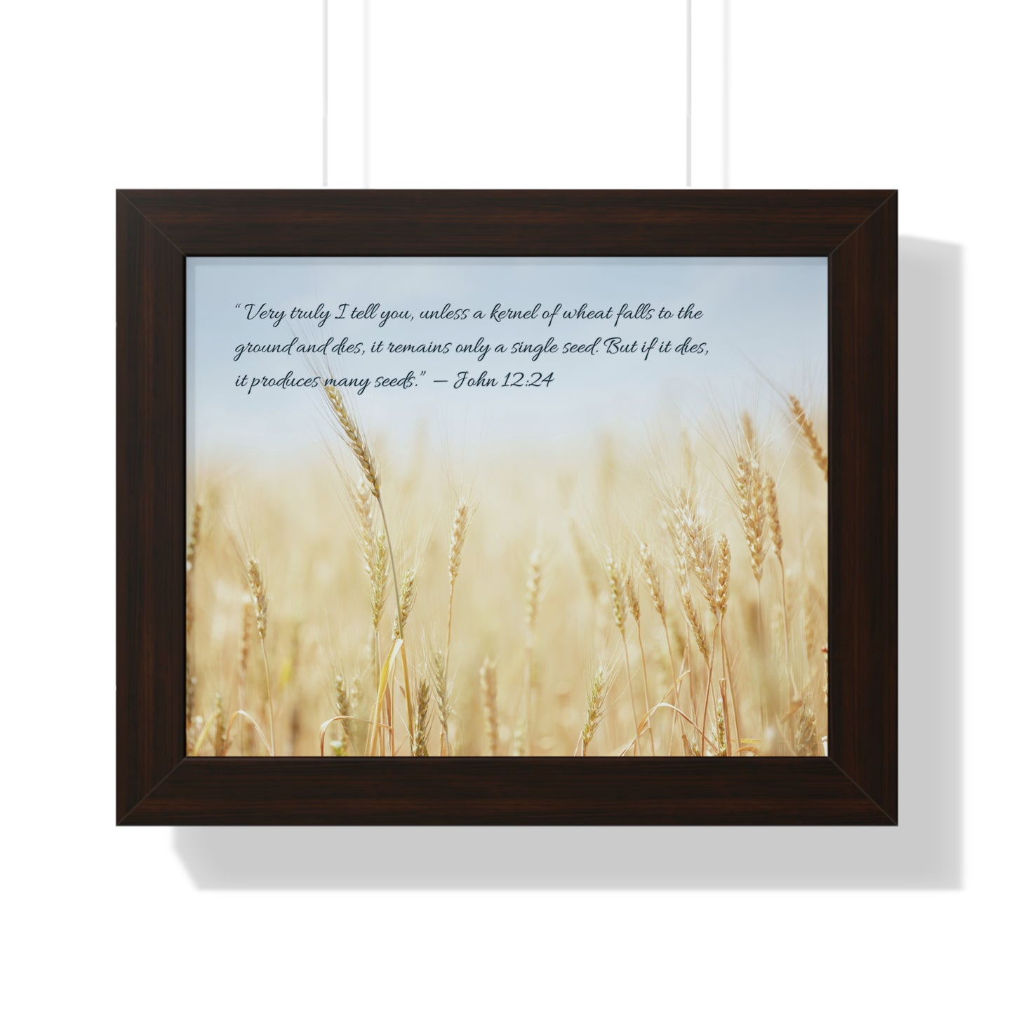 經文框架畫 - 麥子 John 12:24