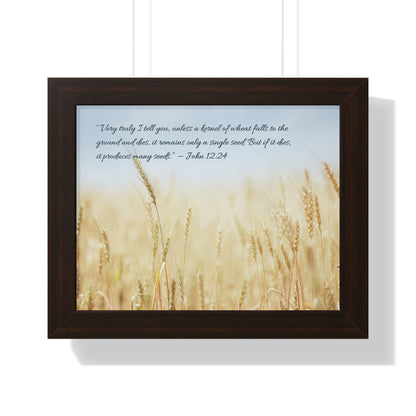 經文框架畫 - 麥子 John 12:24