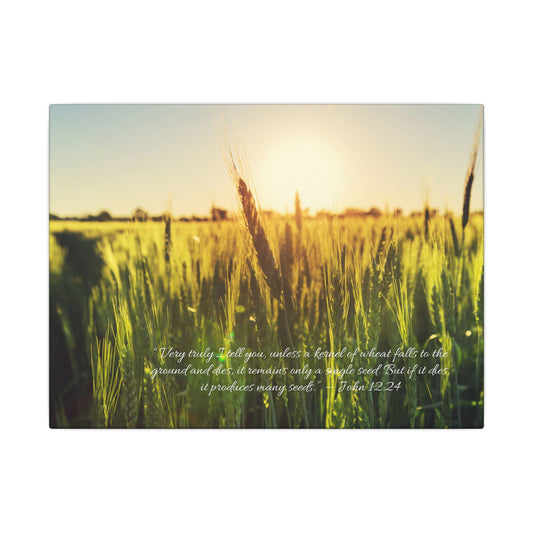 Canvas - Wheat