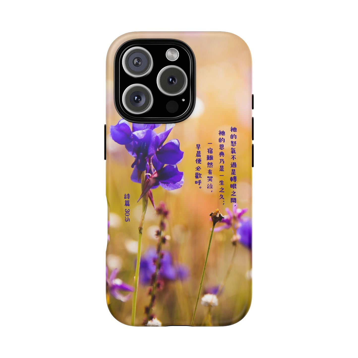 手機殼 - 詩篇30:5