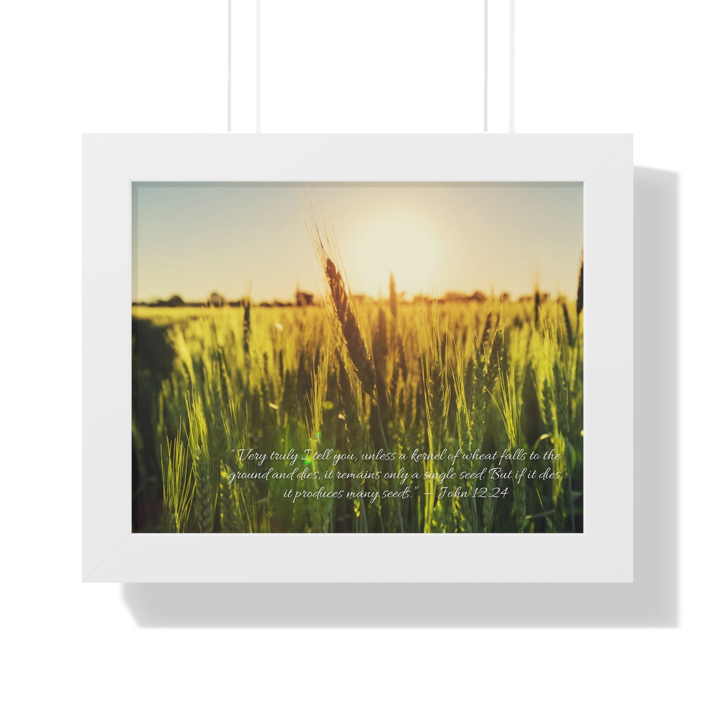 經文框架畫 - Wheat