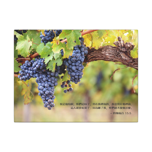 帆布畫 - 葡萄樹和枝子｜約15:5