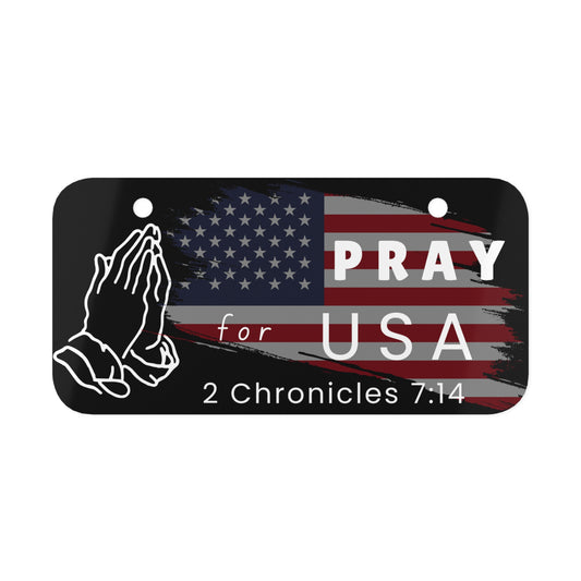 Mini Plate — Pray for USA