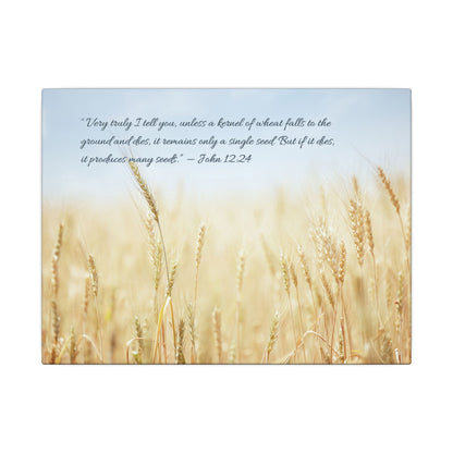Canvas - John 12:24
