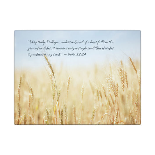 Canvas - John 12:24